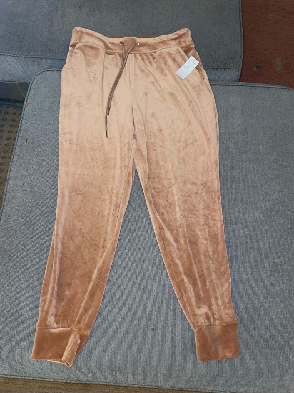 "Truth by Republic" Velour Velvet Jogger Pants, Mocha Mousse, NWT